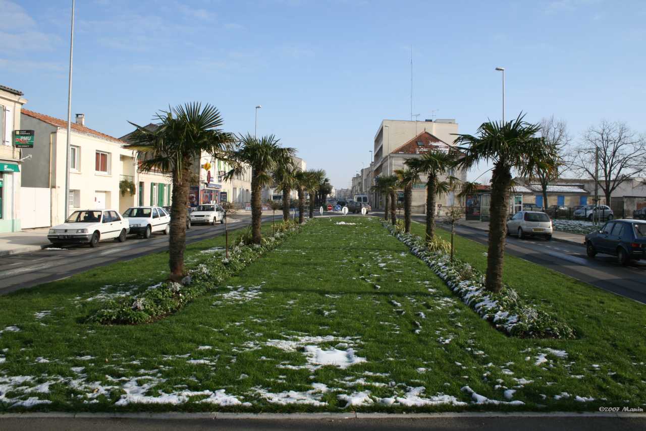 Les Palmiers